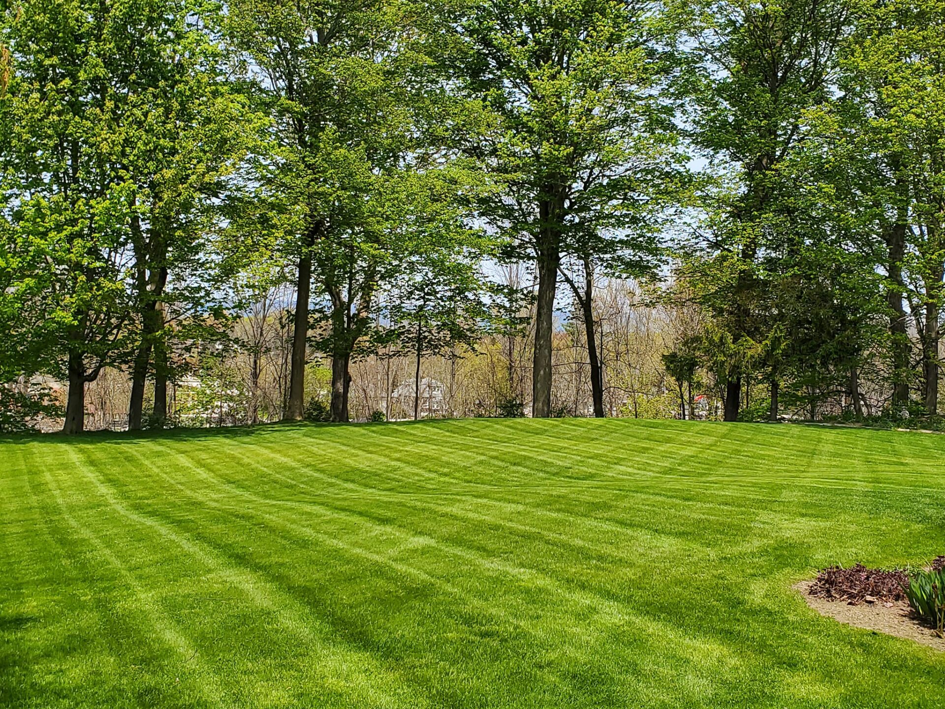 Fairways Lawncare Services