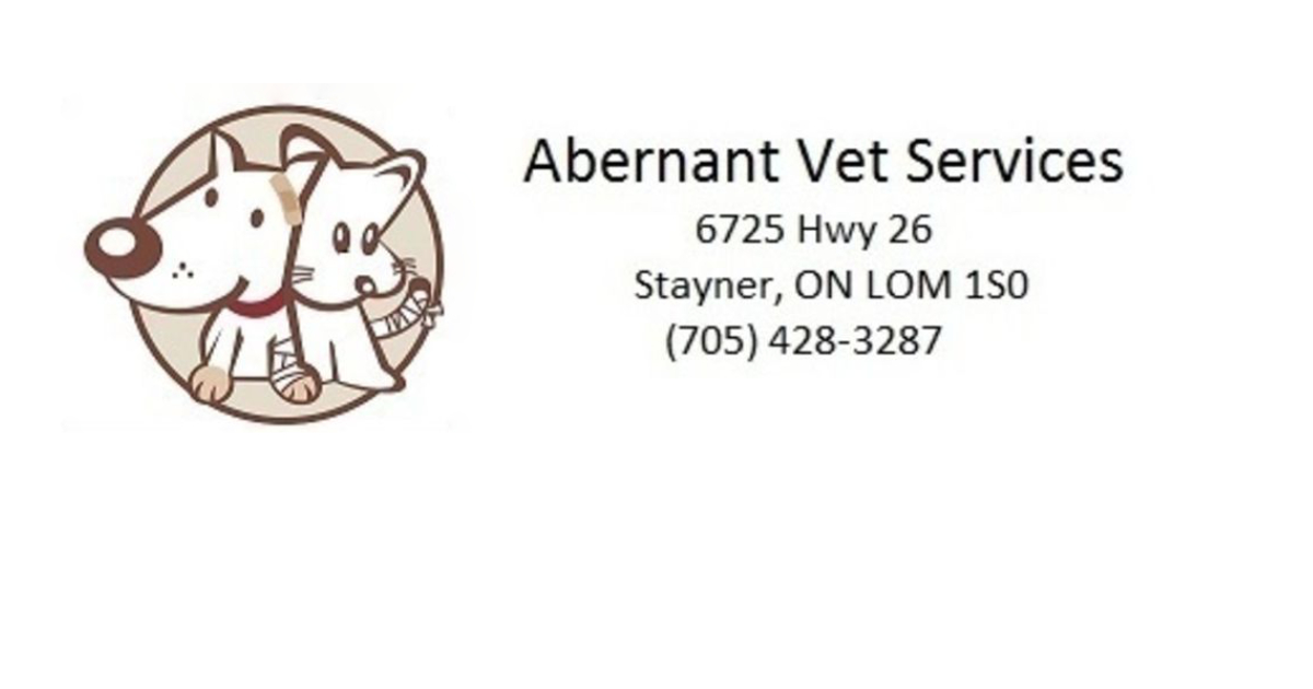 Abernant Vet Services