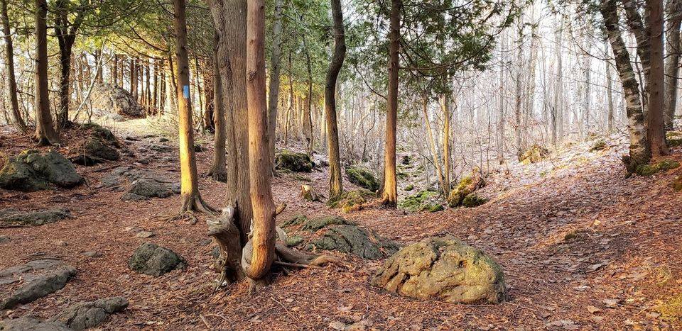 Niagara Escarpment History & Hiking