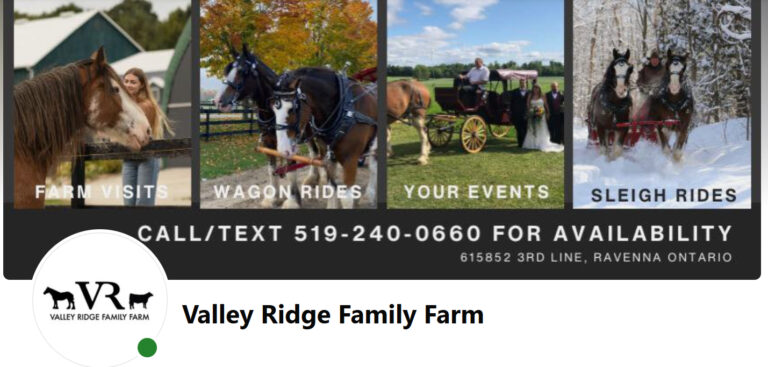 Valley Ridge Family Farm