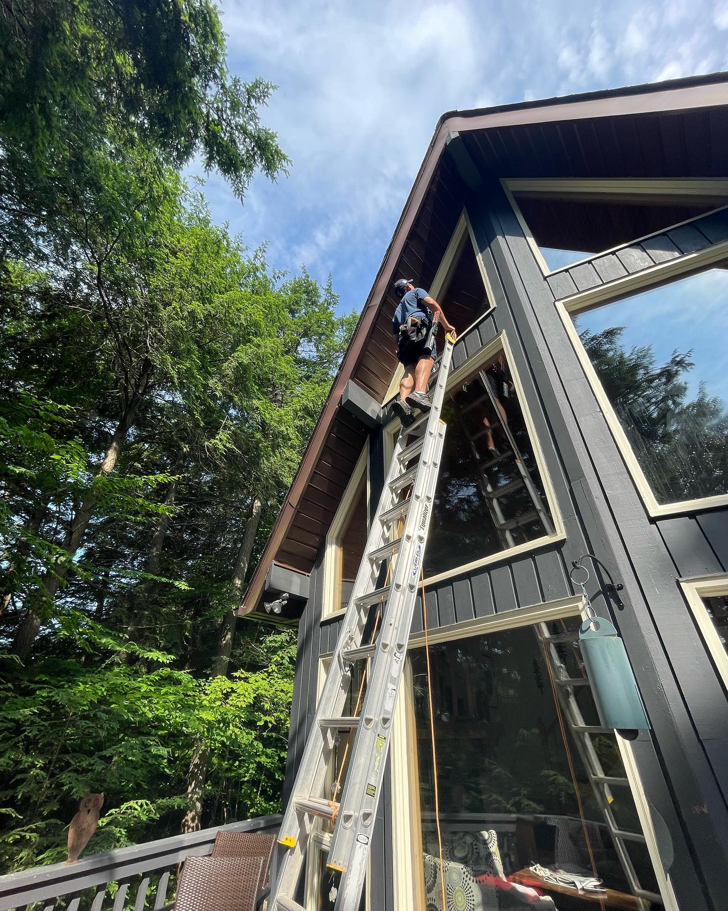 Bluebird Property Services